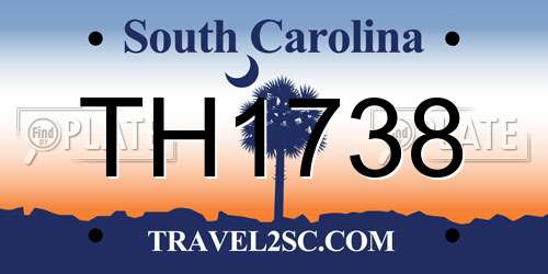 TH1738 South Carolina License Plate