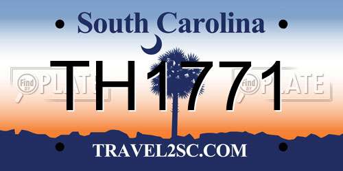 TH1771 South Carolina License Plate