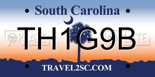 TH1G9B South Carolina License Plate