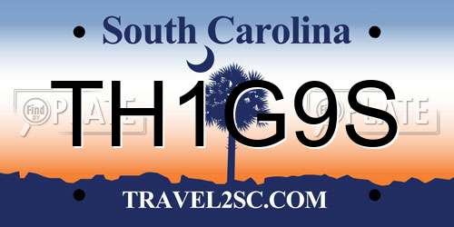 TH1G9S South Carolina License Plate