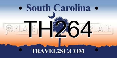 TH264 South Carolina License Plate