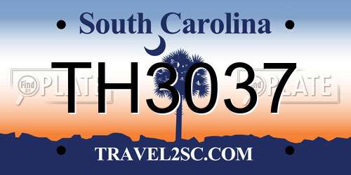TH3037 South Carolina License Plate