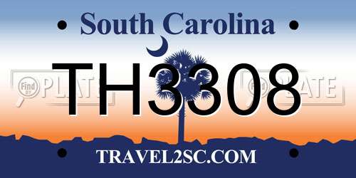 TH3308 South Carolina License Plate