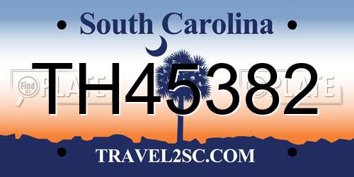 TH45382 South Carolina License Plate