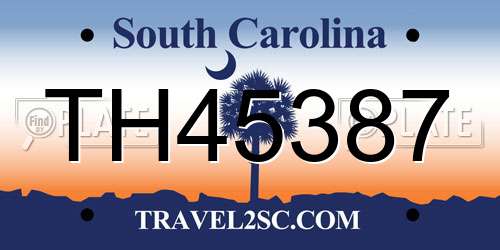 TH45387 South Carolina License Plate