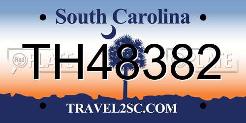TH48382 South Carolina License Plate