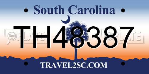 TH48387 South Carolina License Plate