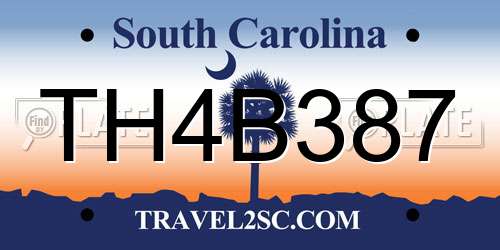TH4B387 South Carolina License Plate