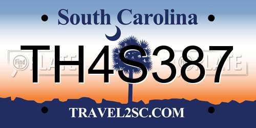 TH4S387 South Carolina License Plate