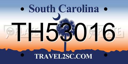 TH53016 South Carolina License Plate