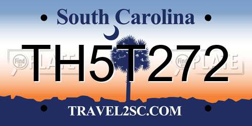 TH5T272 South Carolina License Plate