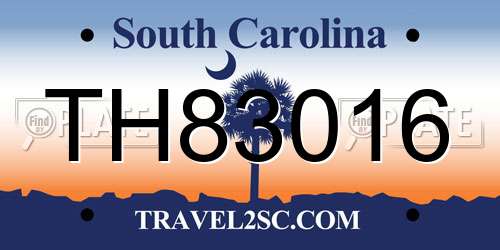 TH83016 South Carolina License Plate