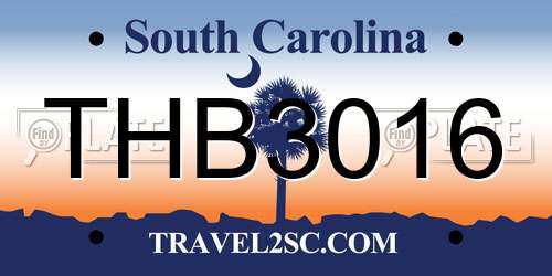 THB3016 South Carolina License Plate