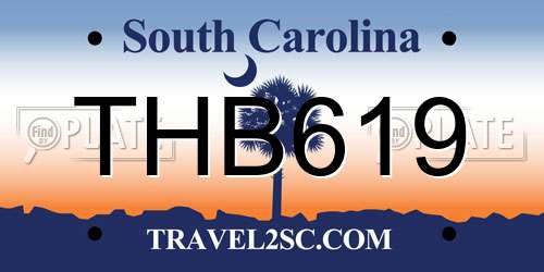 THB619 South Carolina License Plate