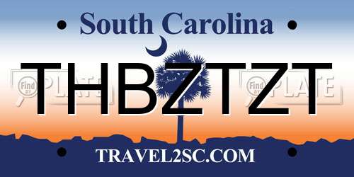 THBZTZT South Carolina License Plate
