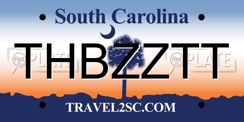THBZZTT South Carolina License Plate