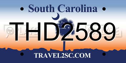 THD2589 South Carolina License Plate