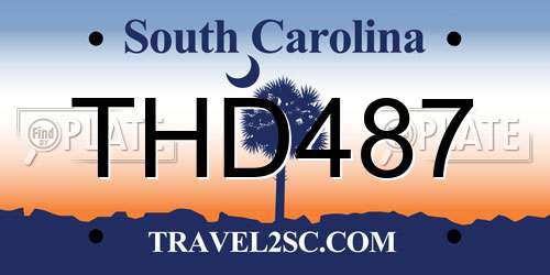 THD487 South Carolina License Plate