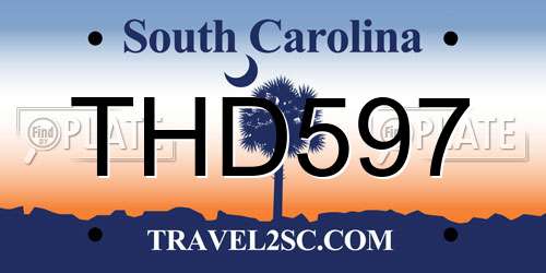 THD597 South Carolina License Plate