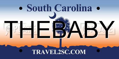 THEBABY South Carolina License Plate