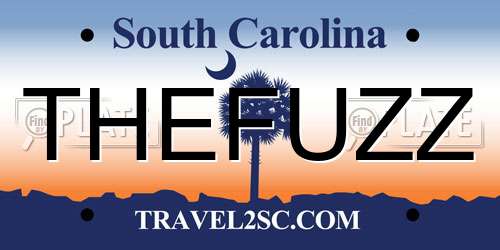 THEFUZZ South Carolina License Plate