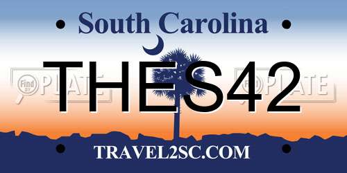 THES42 South Carolina License Plate