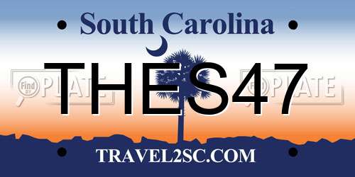 THES47 South Carolina License Plate