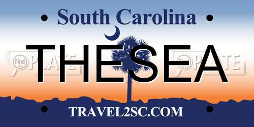 THESEA South Carolina License Plate