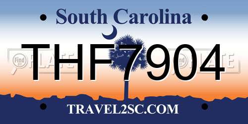 THF7904 South Carolina License Plate