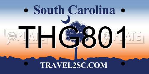 THG801 South Carolina License Plate