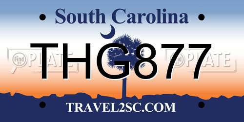 THG877 South Carolina License Plate