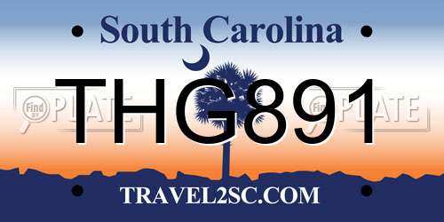 THG891 South Carolina License Plate