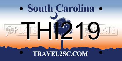 THI219 South Carolina License Plate
