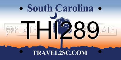 THI289 South Carolina License Plate