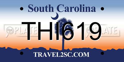 THI619 South Carolina License Plate