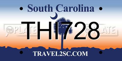 THI728 South Carolina License Plate