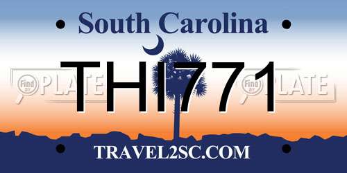 THI771 South Carolina License Plate