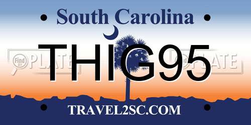 THIG95 South Carolina License Plate