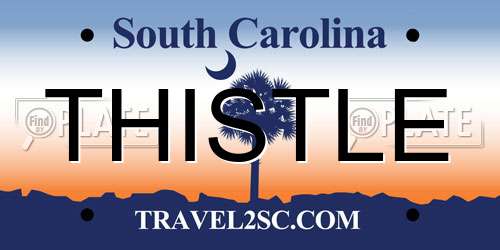 THISTLE South Carolina License Plate