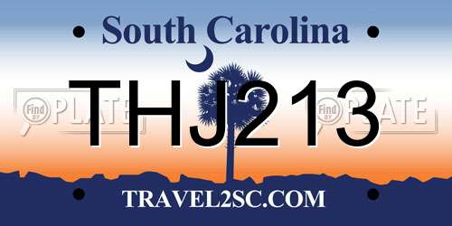THJ213 South Carolina License Plate