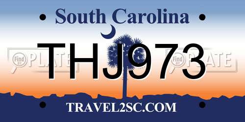 THJ973 South Carolina License Plate