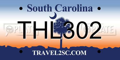 THL302 South Carolina License Plate