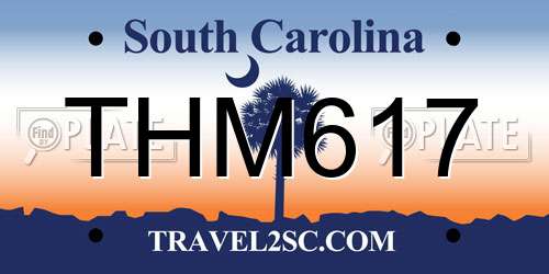 THM617 South Carolina License Plate