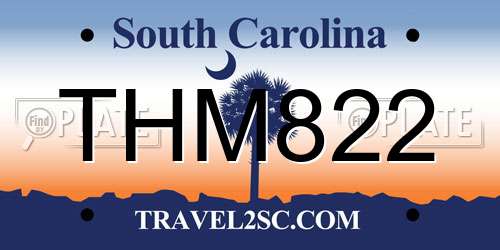 THM822 South Carolina License Plate