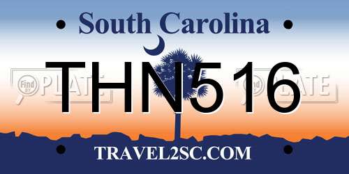 THN516 South Carolina License Plate