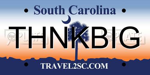 THNKBIG South Carolina License Plate