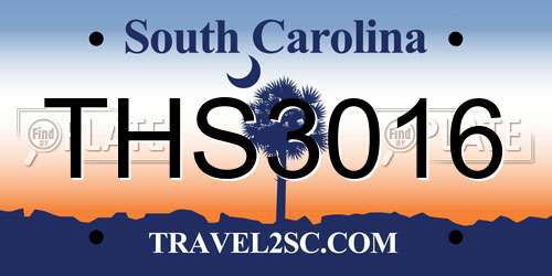THS3016 South Carolina License Plate