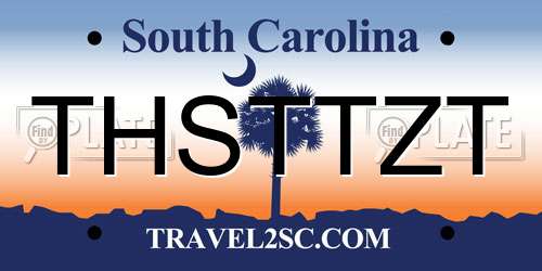 THSTTZT South Carolina License Plate