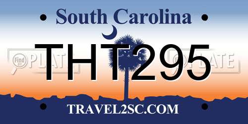 THT295 South Carolina License Plate