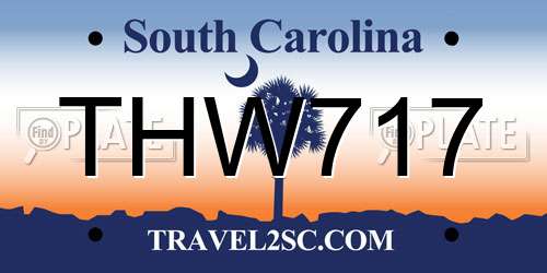 THW717 South Carolina License Plate
